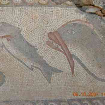 Click para ampliar. Pulsa en el nombre para ver la ficha. Milreu, Portugal - Mosaico em parede com peixes