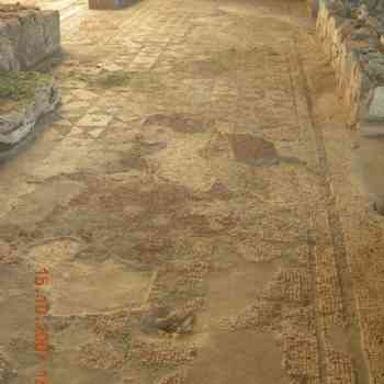 Click para ampliar. Pulsa en el nombre para ver la ficha. Torre da Palma - Monforte, Portugal