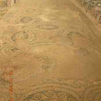 Click para ampliar. Pulsa en el nombre para ver la ficha. Torre da Palma - Monforte, Portugal