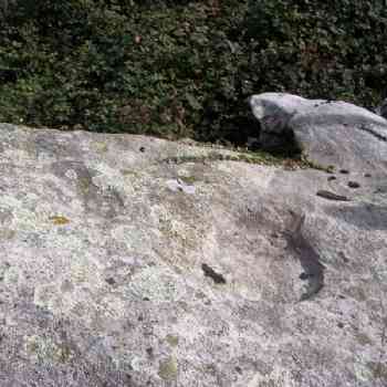 Click para ampliar. Pulsa en el nombre para ver la ficha. Gran cazoleta del posible altar-Maside