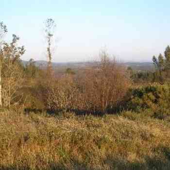 Click para ampliar. Pulsa en el nombre para ver la ficha. Gran fosa ¿Túmulo 156 de Maciñeira?