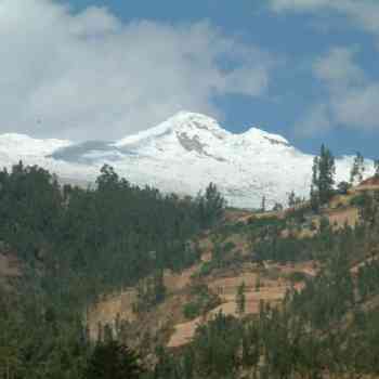 Click para ampliar. Pulsa en el nombre para ver la ficha. ELCELTAJASH