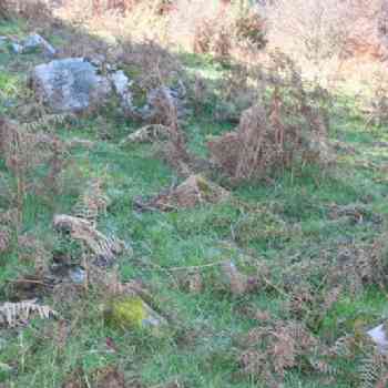 Click para ampliar. Pulsa en el nombre para ver la ficha. Majada de Surbia, Valla de Sajambre