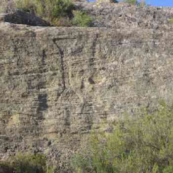 Click para ampliar. Pulsa en el nombre para ver la ficha. Cruz Goda
