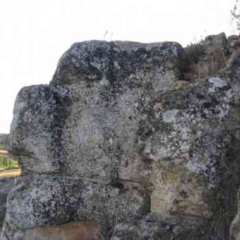 Click para ampliar. Pulsa en el nombre para ver la ficha. Cabeza