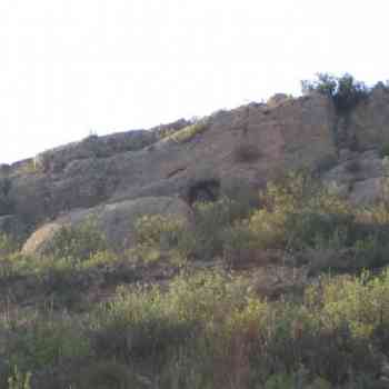 Click para ampliar. Pulsa en el nombre para ver la ficha. Cueva