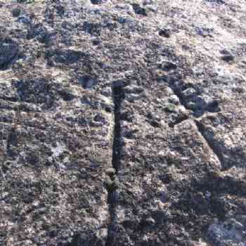 Click para ampliar. Pulsa en el nombre para ver la ficha. Cruces