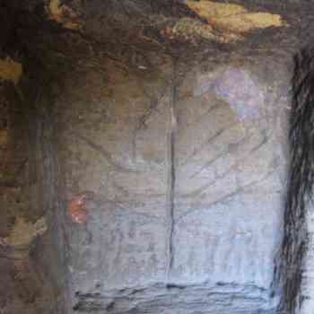 Click para ampliar. Pulsa en el nombre para ver la ficha. arbol de la vida