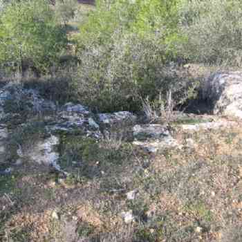 Click para ampliar. Pulsa en el nombre para ver la ficha. FOTO1