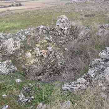 Click para ampliar. Pulsa en el nombre para ver la ficha. ¿que es?