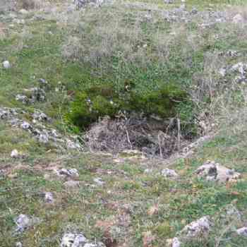 Click para ampliar. Pulsa en el nombre para ver la ficha. ¿que es?