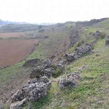 Click para ampliar. Pulsa en el nombre para ver la ficha. ¿que es?