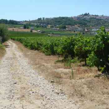 Click para ampliar. Pulsa en el nombre para ver la ficha. Calzada romana de