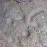 Click para ampliar. Cazoletas de Los Barruecos 3