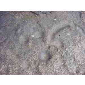 Click para ampliar. Pulsa en el nombre para ver la ficha. Cazoletas de Los Barruecos 3