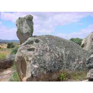 Click para ampliar. Pulsa en el nombre para ver la ficha. Peña de la tortuga