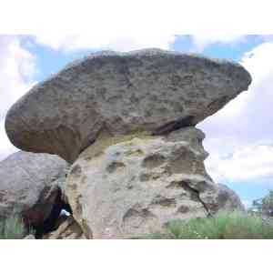 Click para ampliar. Pulsa en el nombre para ver la ficha. Roca en seta