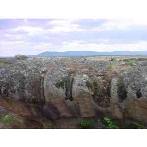 Click para ampliar. Pulsa en el nombre para ver la ficha. Surcos de pared (