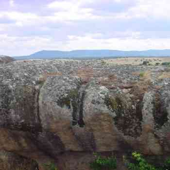 Click para ampliar. Pulsa en el nombre para ver la ficha. Surcos de pared (