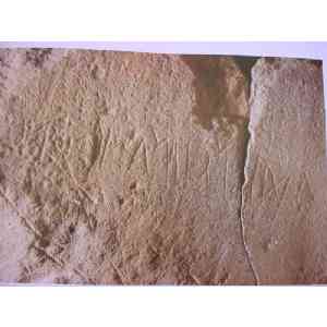 Click para ampliar. Pulsa en el nombre para ver la ficha. Inscripción del SW de Almoroquí