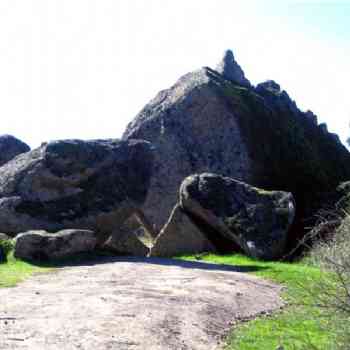 Click para ampliar. Pulsa en el nombre para ver la ficha. Dinosaurio sin cabeza