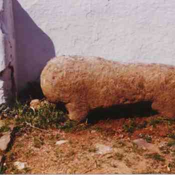 Click para ampliar. Pulsa en el nombre para ver la ficha. León o Verraco de Guadalupe