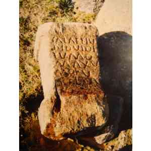 Click para ampliar. Pulsa en el nombre para ver la ficha. Ara de SALAETIUS
(Ager Norbensis)