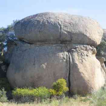 Click para ampliar. Pulsa en el nombre para ver la ficha. Hongo petreo: