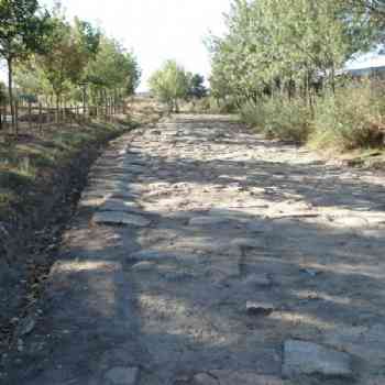 Click para ampliar. Pulsa en el nombre para ver la ficha. Calzada de Galapagar 2