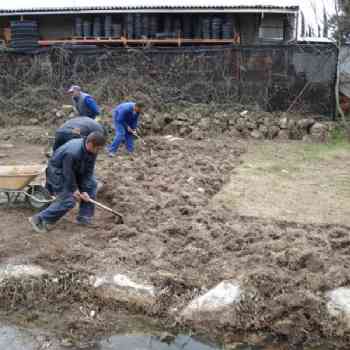 Click para ampliar. Pulsa en el nombre para ver la ficha. Calzada de Galapagar 1