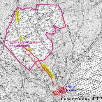 Click para ampliar. Pulsa en el nombre para ver la ficha. Zarzandola