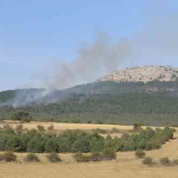 Click para ampliar. Pulsa en el nombre para ver la ficha. Alto de La Muela (Covarrubias-Burgos)