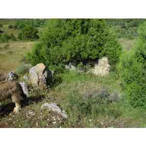 Click para ampliar. Pulsa en el nombre para ver la ficha. Dolmen de la Mina (1)