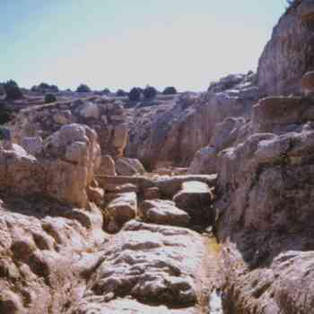 Click para ampliar. Pulsa en el nombre para ver la ficha. Camino Hondo 2