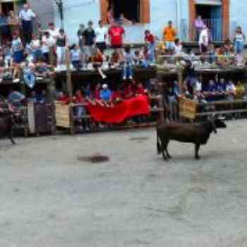 Click para ampliar. Pulsa en el nombre para ver la ficha. Fiesta de los Toros en Ayora
