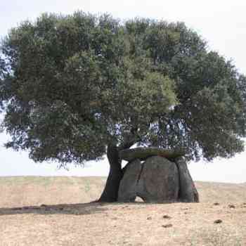 Click para ampliar. Pulsa en el nombre para ver la ficha. Anta do Crato