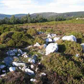Click para ampliar. Pulsa en el nombre para ver la ficha. Círculo lítico de O Freixo 2