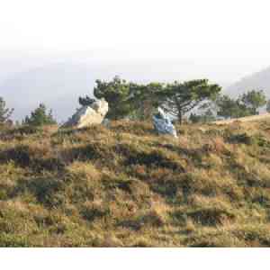 Click para ampliar. Pulsa en el nombre para ver la ficha. Pena Branca 6