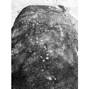 Click para ampliar. Pulsa en el nombre para ver la ficha. Covinhas na Anta do Zambujeiro