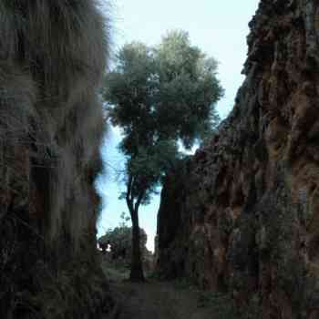 Click para ampliar. Pulsa en el nombre para ver la ficha. Acequias naturales de Baños de Alicún (Granada)
