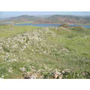 Click para ampliar. Pulsa en el nombre para ver la ficha. Giribaile. Muralla oretana 2.