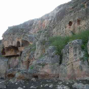 Click para ampliar. Pulsa en el nombre para ver la ficha. Espeluca 2