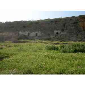 Click para ampliar. Pulsa en el nombre para ver la ficha. Espeluca 3