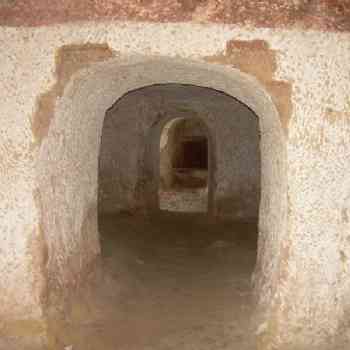 Click para ampliar. Pulsa en el nombre para ver la ficha. Espeluca 5