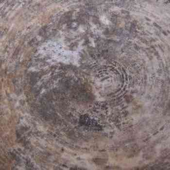 Click para ampliar. Pulsa en el nombre para ver la ficha. Cúpula de un chozo. San Esteban del Molar (Zamora)