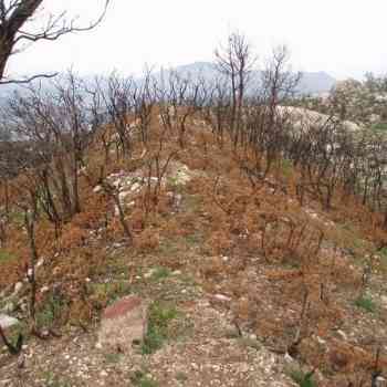 Click para ampliar. Pulsa en el nombre para ver la ficha. Muralla no excavada de Castro