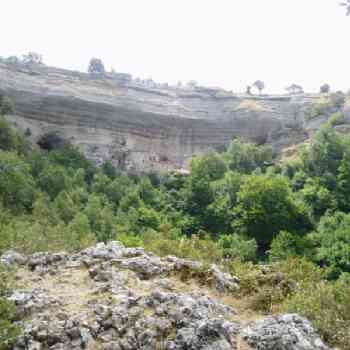 Click para ampliar. Pulsa en el nombre para ver la ficha. Ojo Guareña