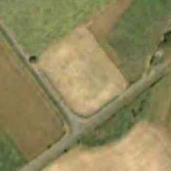 Click para ampliar. Pulsa en el nombre para ver la ficha. Pedra do altar.Claudionerium