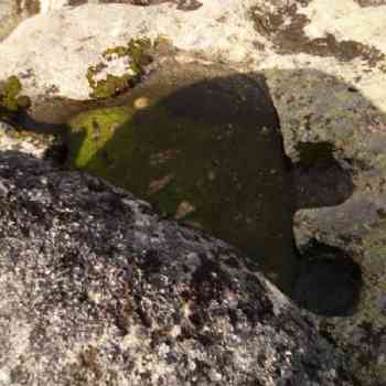 Click para ampliar. Pulsa en el nombre para ver la ficha. La Nava del Barco - ¿Esquema en piletas? 5