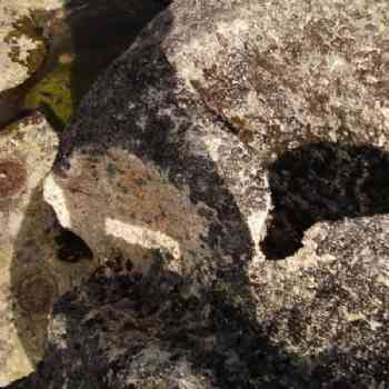 Click para ampliar. Pulsa en el nombre para ver la ficha. La Nava del Barco - ¿Esquema en piletas? 6